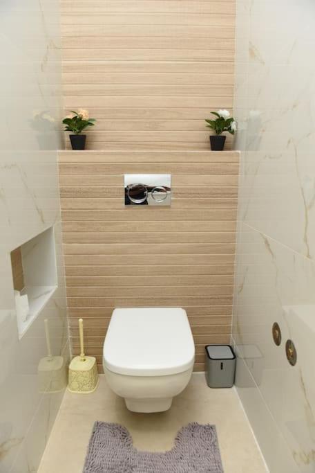 Villa Ecologique Jnane Yaya 阿加迪尔 外观 照片